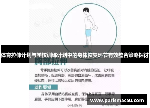 体育拉伸计划与学校训练计划中的身体恢复环节有效整合策略探讨